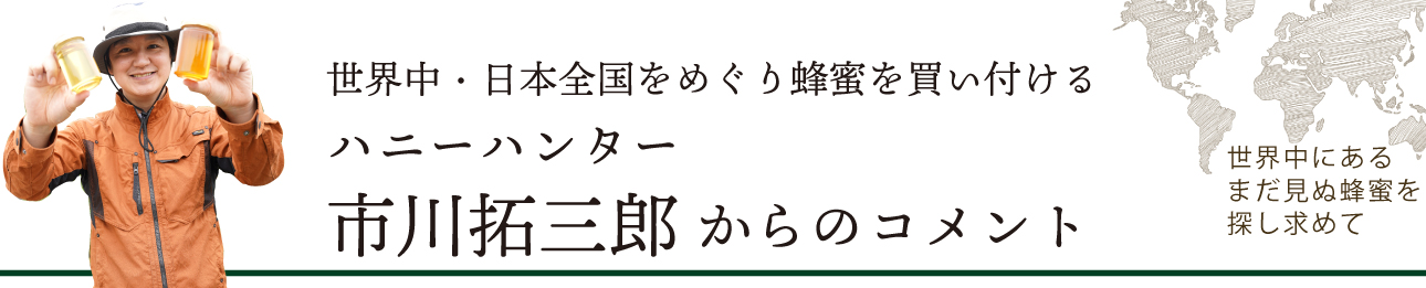 ハニーハンター　コメント　バナー