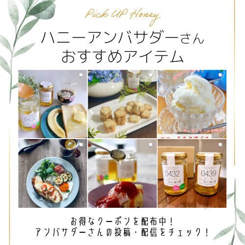 アンバサダー紹介アイテム　500pxバナー.png