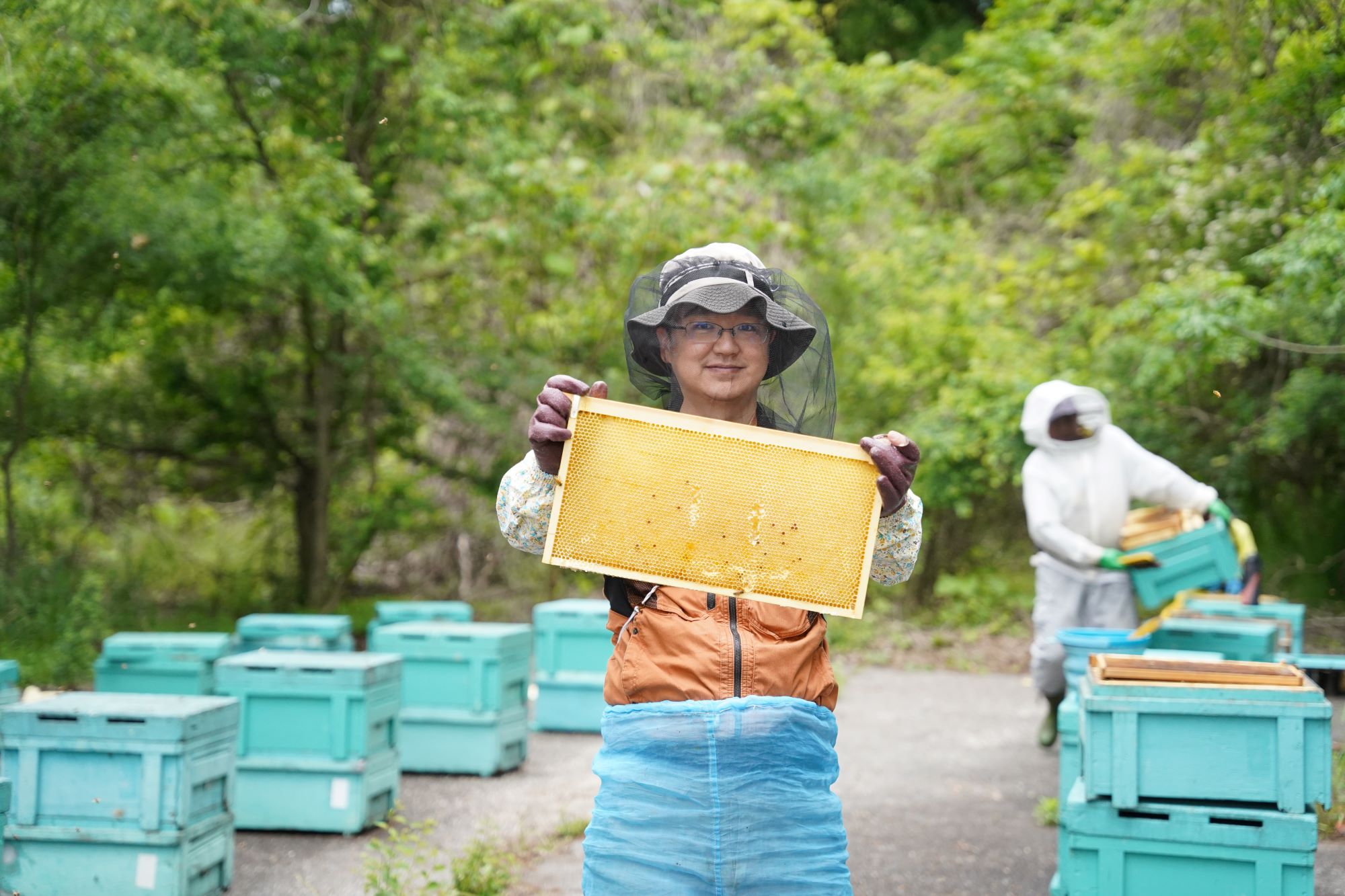 ハニーハンター市川による買い付け風景