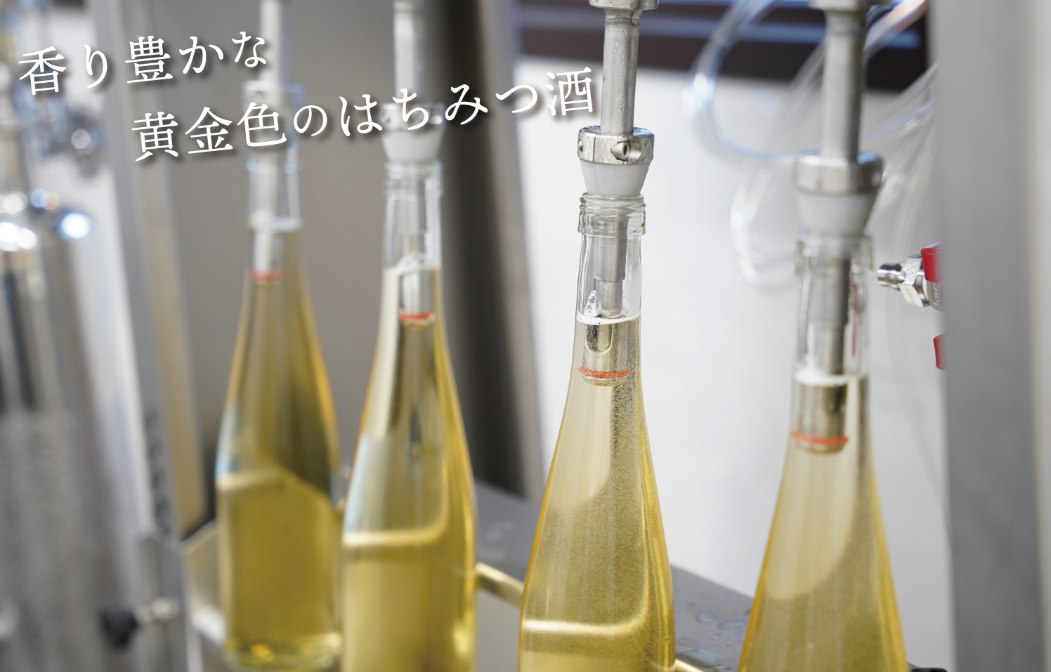 黄金色のはちみつ酒充填
