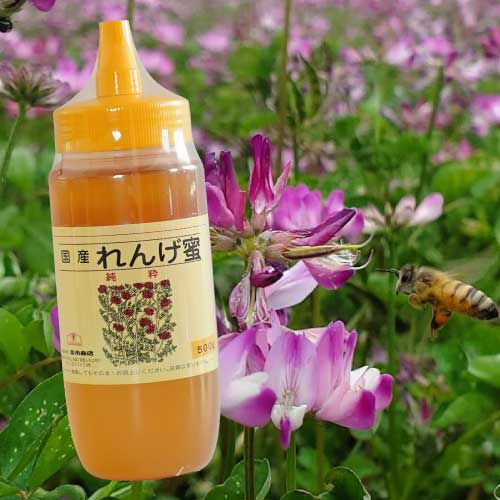 国産れんげ蜂蜜500g | 【公式】蜂蜜専門店ミールミィ｜通販｜はちみつ